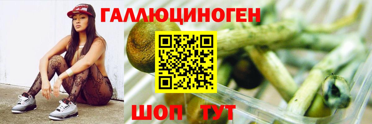 где найти наркотики  Псилоцибиновые грибы прущие грибы  Вход с VPN  Ипатово 