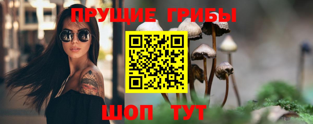 Псилоцибиновые грибы Psilocybine cubensis Ипатово